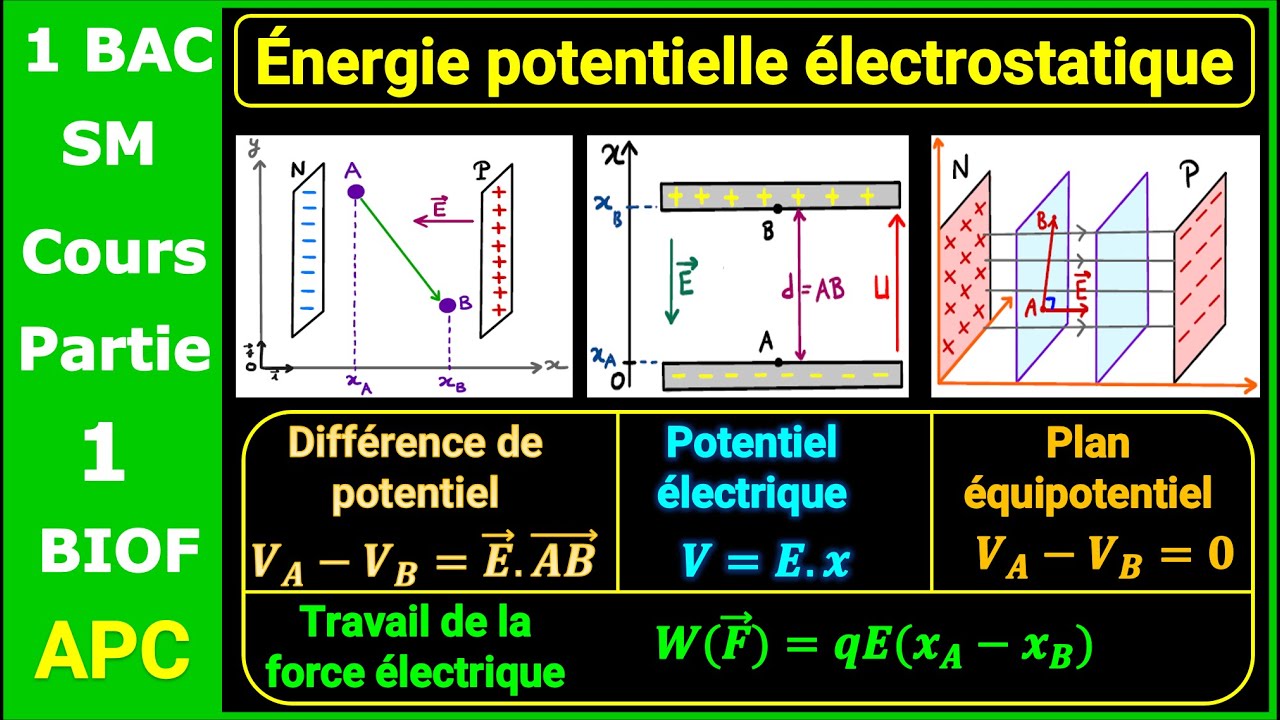 P1- Énergie potentielle électrostatique || Cours détaillé || 1 BAC - BIOF (SM)