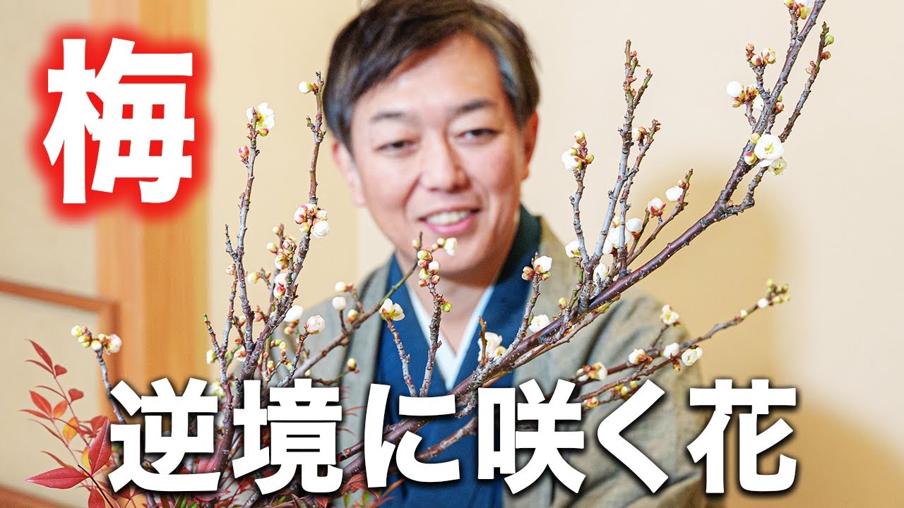 【生け花】寒いからこそ美しい花から、メンタルを学ぼう