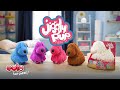 Jiggly pup  eolo toys  toys for kids