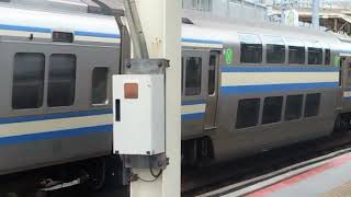 E217系クラY-30編成横浜駅発車