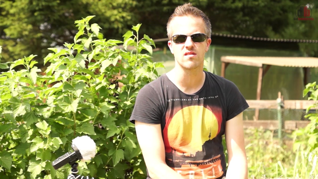 Die Bandbreite Blog #34 - Linker Liedersommer