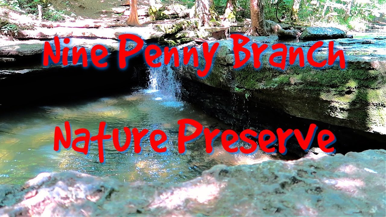 Nine Penny Branch Nature Preserve Indiana YouTube