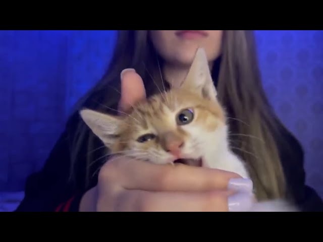 Asmr 100 triggers in village in 1 minute 😼