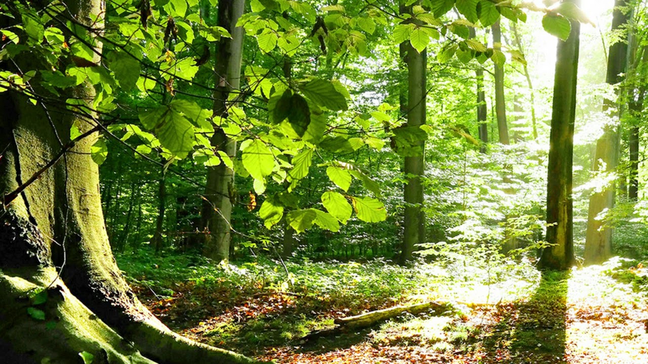 ¿Existió Abraham de verdad? Biblia, arqueología y fe