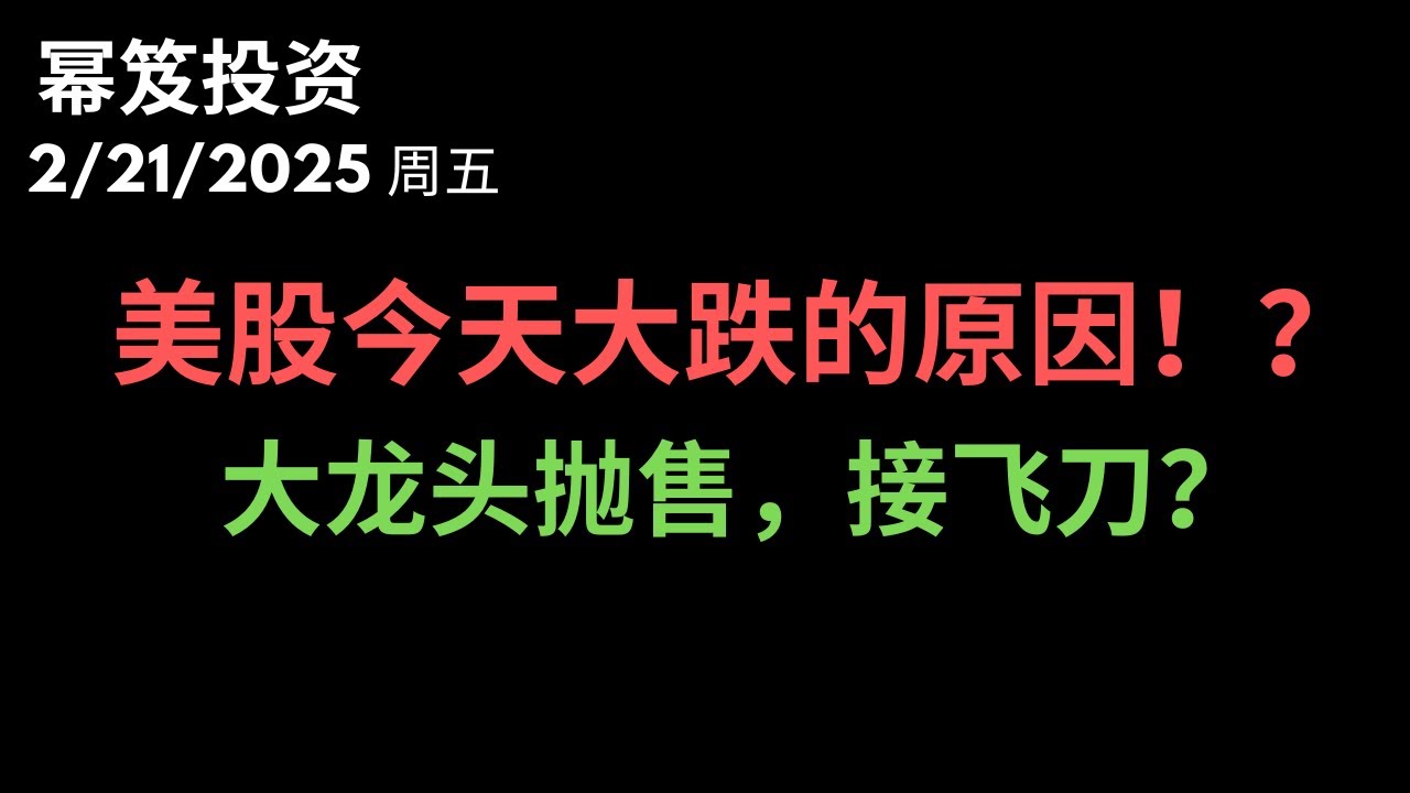 第1400期「幂笈投资」2/21/2025 新高之后，立马大跌的真正原因！？｜ 龙头抛售，大接飞刀？｜ moomoo