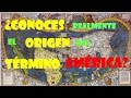 ¿CONOCES realmente el ORÍGEN del TÉRMINO AMÉRICA?