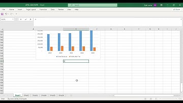Business Data Analytics-CPA(April 2024-Q21)-Ratio analysis and Dashboard.
