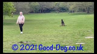 Mum & Coco. ‘Wait’ to recall by Good-Dog 74 views 3 years ago 41 seconds