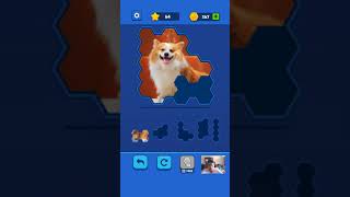 Hex Block Jigsaw - PET 2 Level 1 - 25 Walkthrough screenshot 4