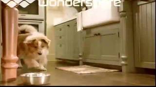 Petsmart Commercial Summer 2011