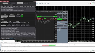 Network Bridge. A simple usage example
