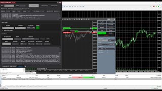 Network Bridge. A simple usage example