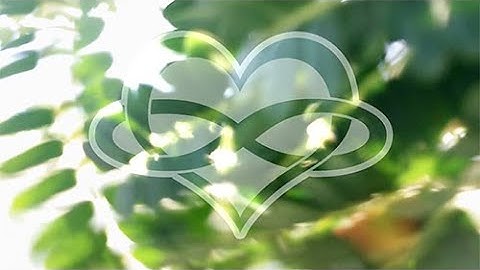 MAGIC! - NO Regrets (a Polyamorous Love Story) - Unofficial Music Video ft. Dave Unscripted