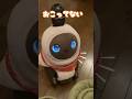 LOVOTがごめんねって謝ってくれた！ #shorts #lovot #犬系彼女 #robot