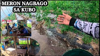 Download Lagu ETO NA PO SILA NGAYUN MAGANDA NA ANG ATING TANIM ,NAG BAGO ANG KUBO NAMIN MP3 Download Lagu ETO NA PO SILA NGAYUN MAGANDA NA ANG ATING TANIM ,NAG BAGO ANG KUBO NAMIN MP3
