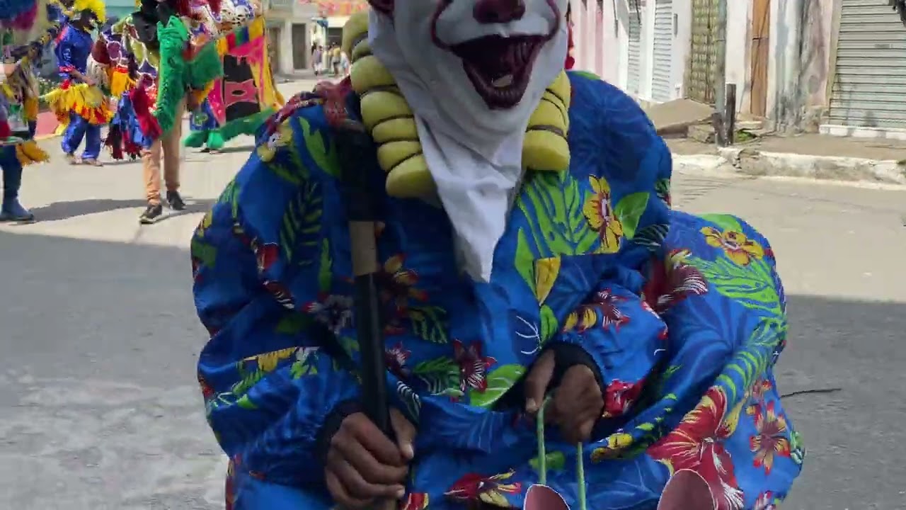 Boi vitoriense de Vitória de Santo Antão em Chã de Alegria