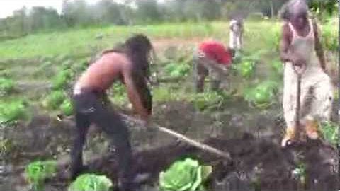 Likkle Lightning - Early Morning Flash (Official HQ Video)