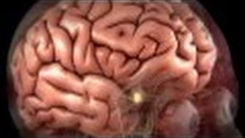 Your Search Engine: Startpage - The Most PRIVATE Search Engine