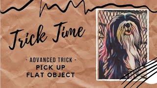 Trick Time Tutorial  Pick Up Flat Object  Advanced Dog Trick