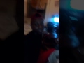 Noma Sana Noma Sana