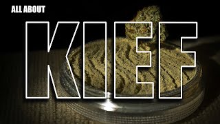 Grassdoor - All About Kief