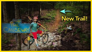 Building The First Trail in Our Backyard Bike Park!