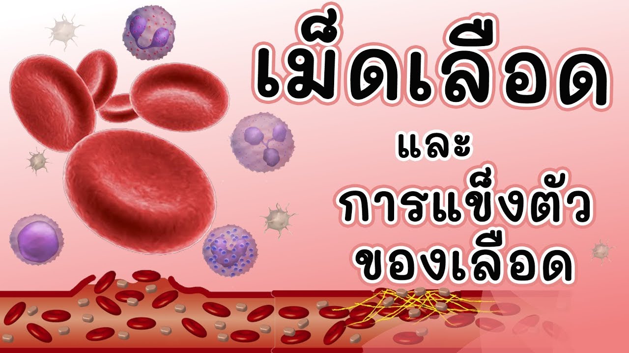 rbc ต่ำ New เม็ดเลือด และ การแข็งตัวของเลือด