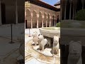الحضارة الإسلامية الأندلسية قصر الحمراء نافورة الأسود    