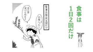 衝撃の実録コミックエッセイ『カルト村で生まれました。』