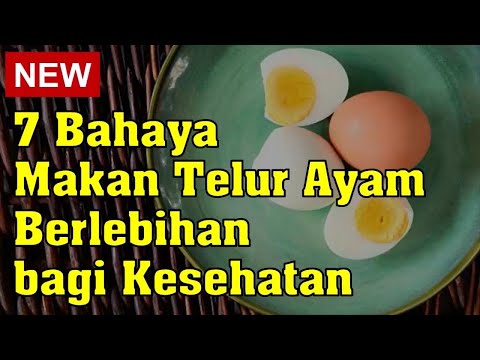 Video: Telur Ayam. Membahayakan Atau Menguntungkan?