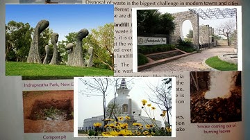 Class 6 Science Chp 17 Waste Part 2