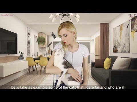 Video: Cat Overlever Mirakuløst Dødshjelp - To Ganger
