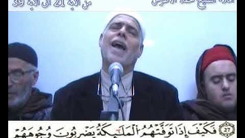 إملاء سورة محمد الآيات من 21 إلى 39