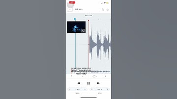 Welcome to the Internet laugh but it’s lagging/buffering (original tiktok video)