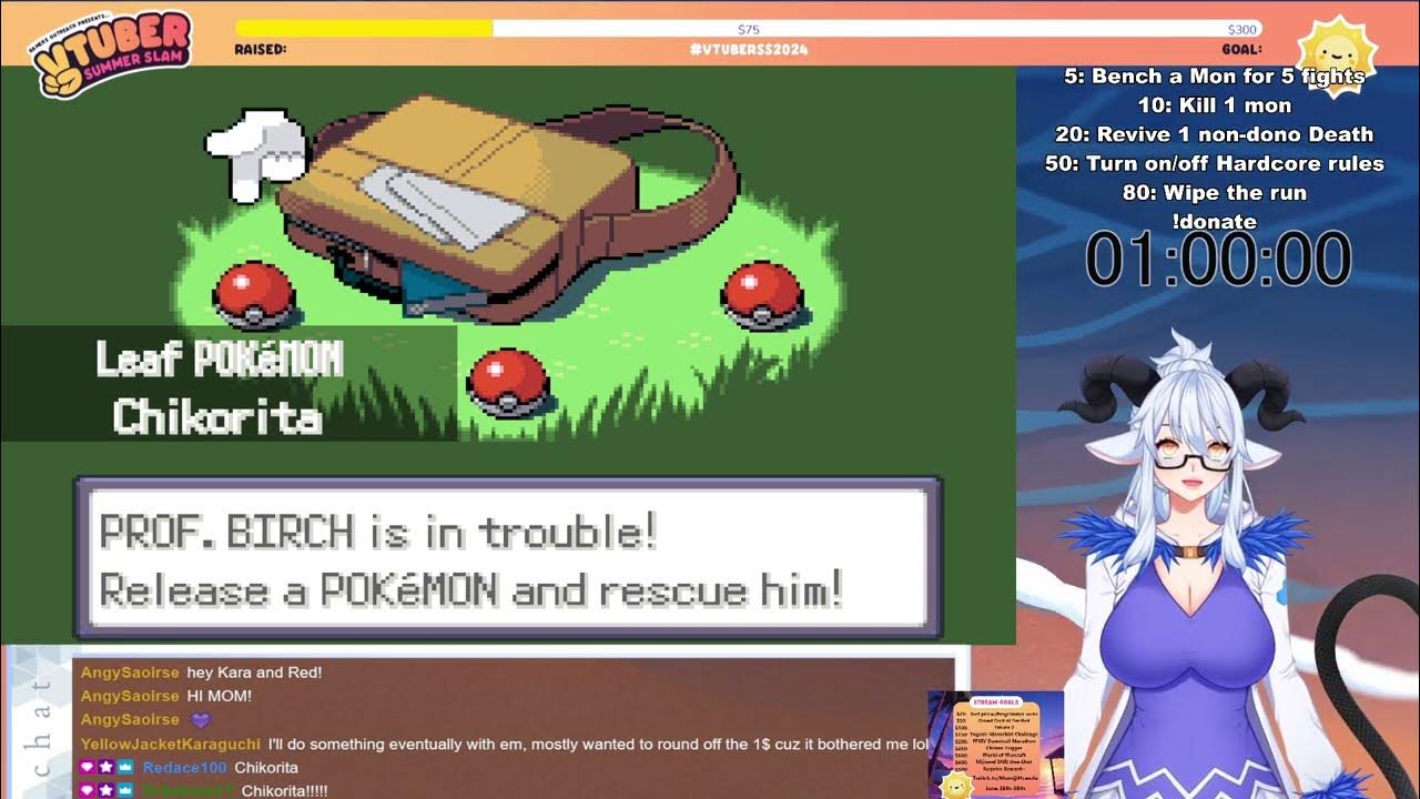 VSS2024 Day 1! Playing Alpharad's Too Many Types to help children in