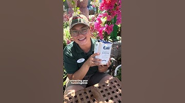 Keep Hummingbirds Happy With This Simple Cleaning Trick