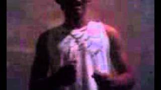 Pintinho Piu Da Rua Nova