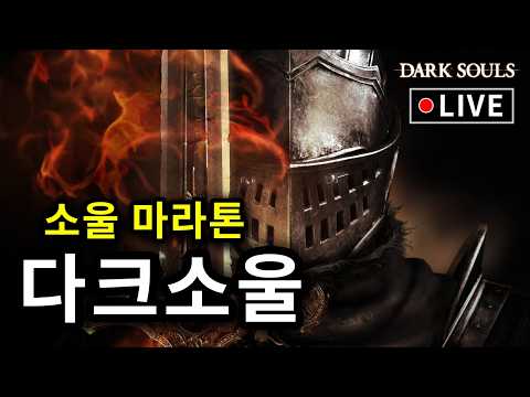 펠마 Pelma broadcast preview