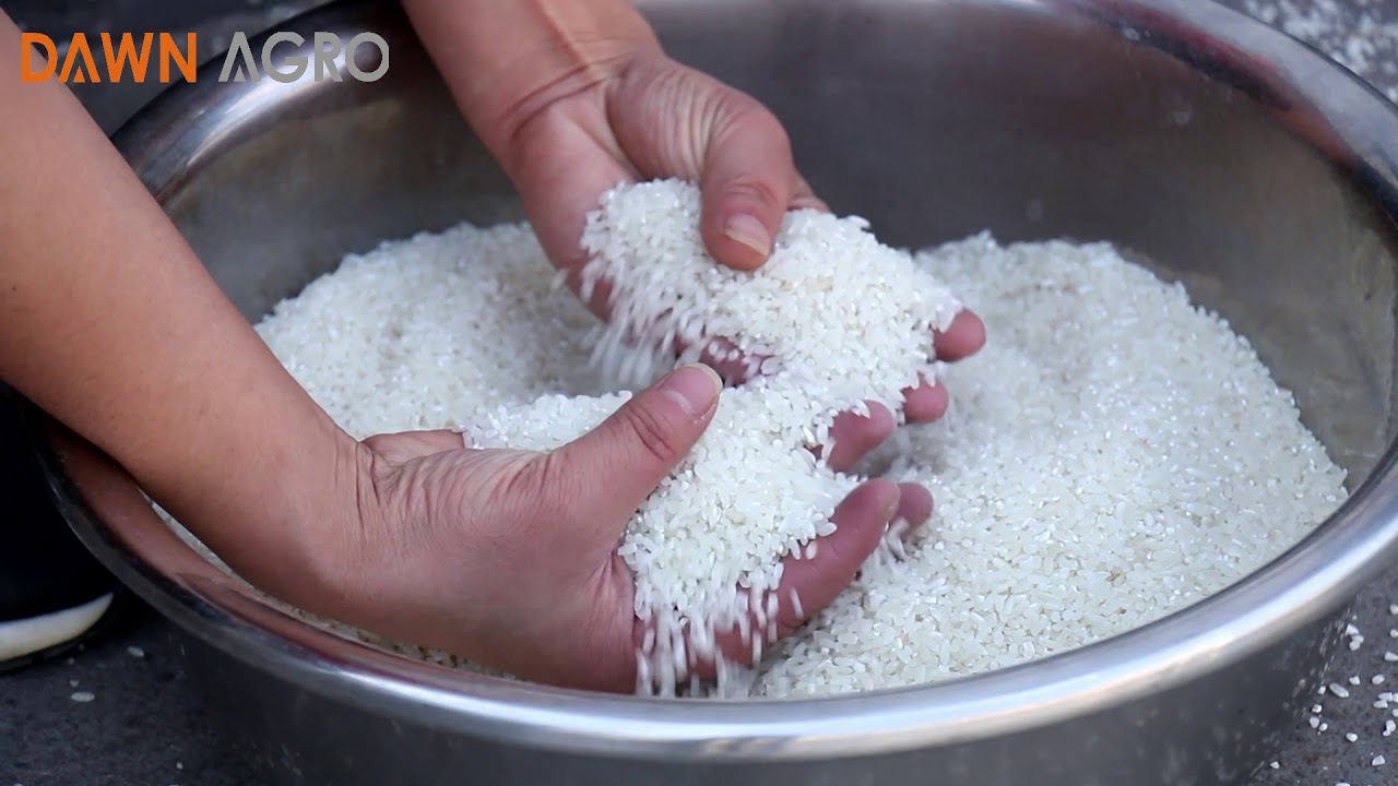 Mini Rice Millet Mini Rice Mill|mini rice milling machine( millet milling machine)|170 ...