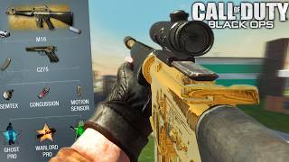 The Suppressed M16+ACOG From Black Ops 1 Makes The Game Easier