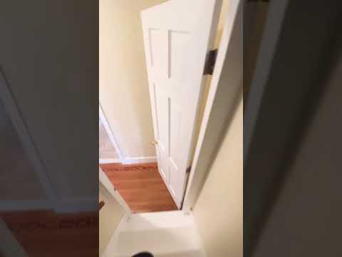 407 Temple St., New Haven, CT home video tour