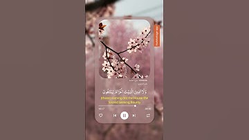 أرح قلبك بتلاوة القرآن 😌 أجر لي ولكم 😊