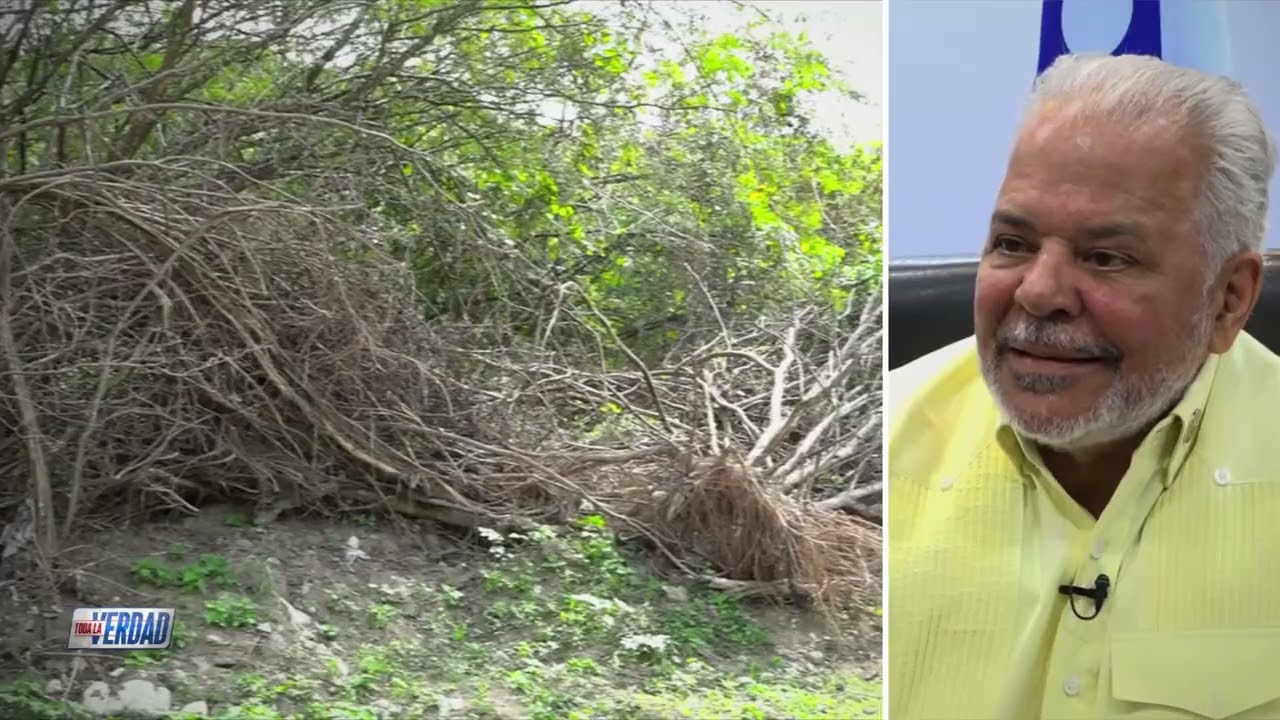 Toda La Verdad: ¿Una calle en el río Yubazo? 