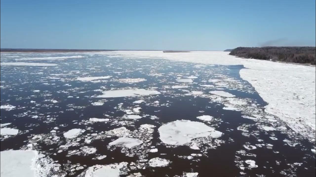 Ледоход в новосибирске 2024. Ледоход на Оби 2022. Ледоход в Барнауле 2022. Ледоход Обь. Ледоход на Оби Салехард.