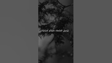 قرآن الكريم بصوت رعد محمد الكردي اجمل حالات واتس اب دينية سورة هود 🎧😌