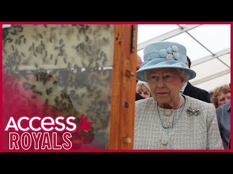 Why Queen Elizabeth’s Bees Were Informed Of Her Death By Royal Beekeeper