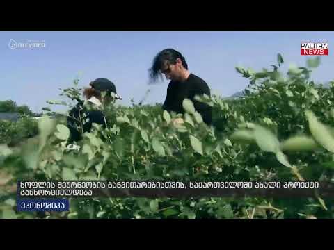 სოფლის მეურნეობის განვითარებისთვის საქართველოში ახალი პროექტი განხორციელდება