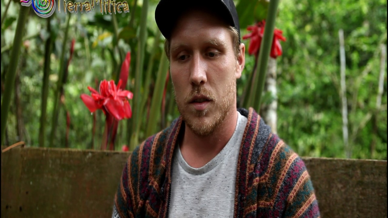 Ayahuasca Experience Review: Embrace the Medicine September 2016