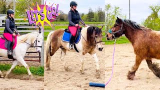 TRAINING HORSESA DAY IN THE LIFE AT FREE SPIRIT EQUESTRIAN!