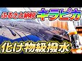 【実質無料】ふるさと納税キラピカが凄い！これは使わないともったいないレベル！洗車｜シリコン系コーティング剤